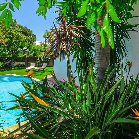 Villa Falguera - Only Families